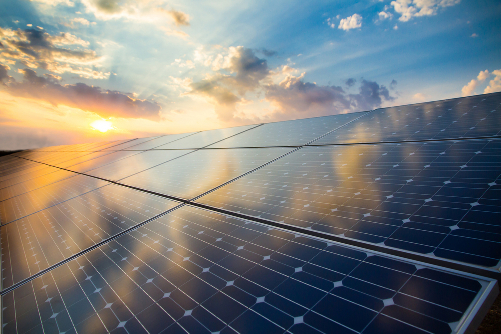 The Role of Solar Energy in Future Sustainability - Credit Scout Credit ...